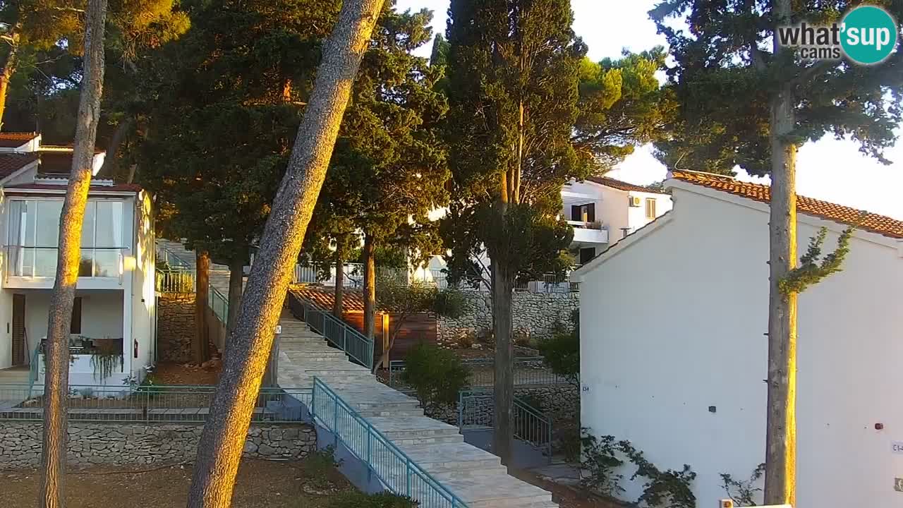 Lumbarda resort Web Kamera Korčula