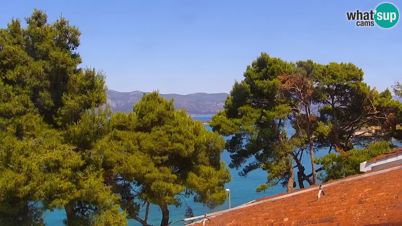 Lumbarda resort Web Kamera Korčula