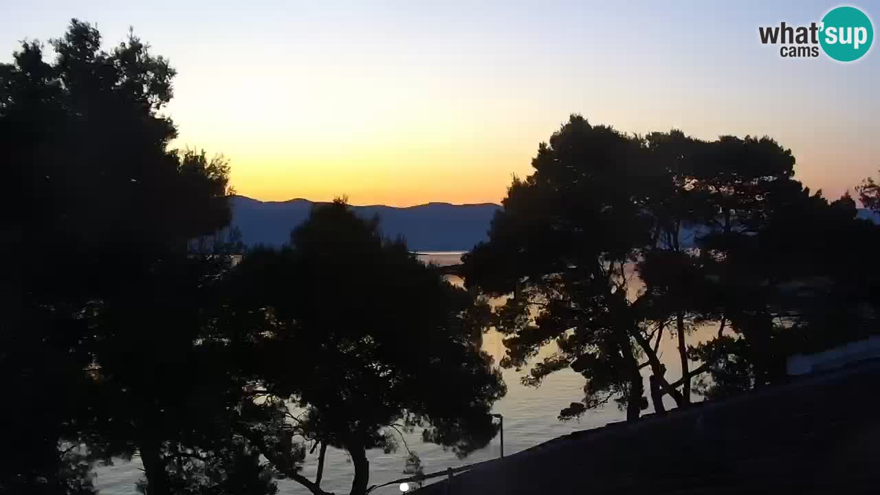 Lumbarda resort Webcam Korčula