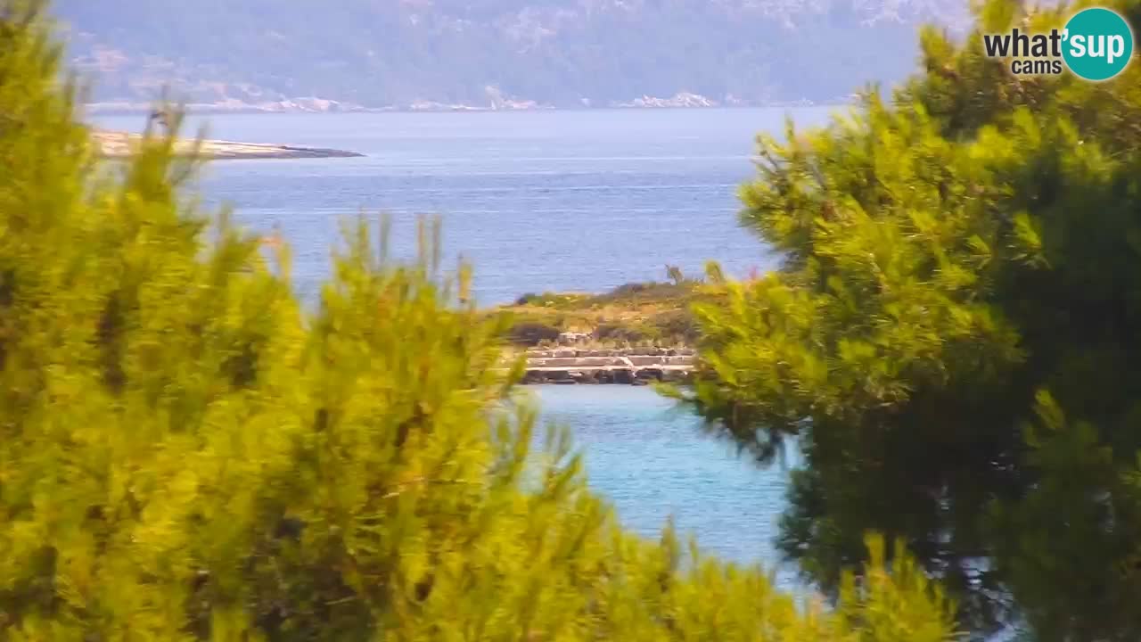 Lumbarda resort Spletna kamera Korčula