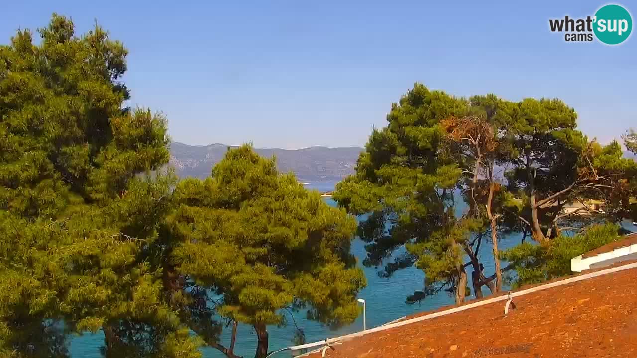 Lumbarda resort Web Kamera Korčula