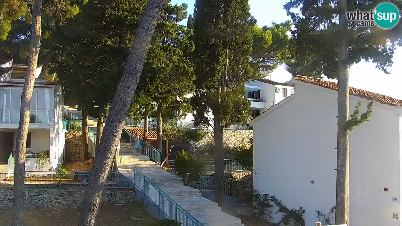 Lumbarda resort Spletna kamera Korčula