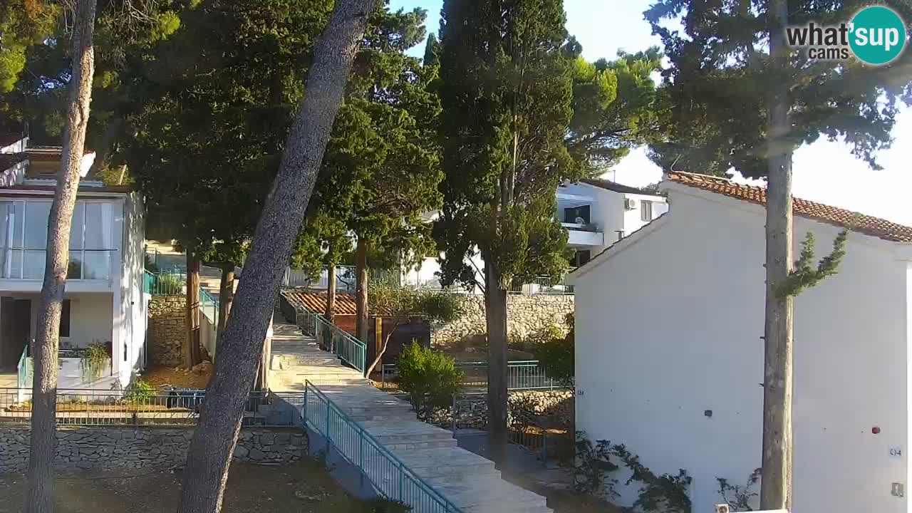 Lumbarda resort – livecam Korčula