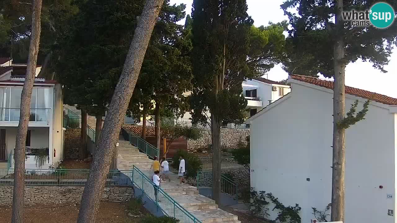 Lumbarda resort Webcam Korčula