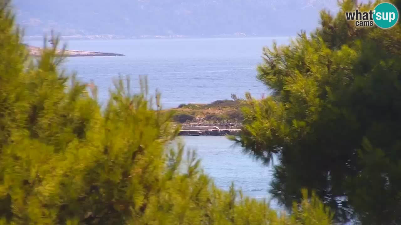 Lumbarda Resort camera en vivo Korčula