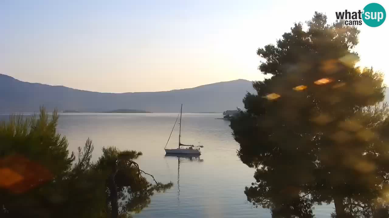 Lumbarda resort Web Kamera Korčula