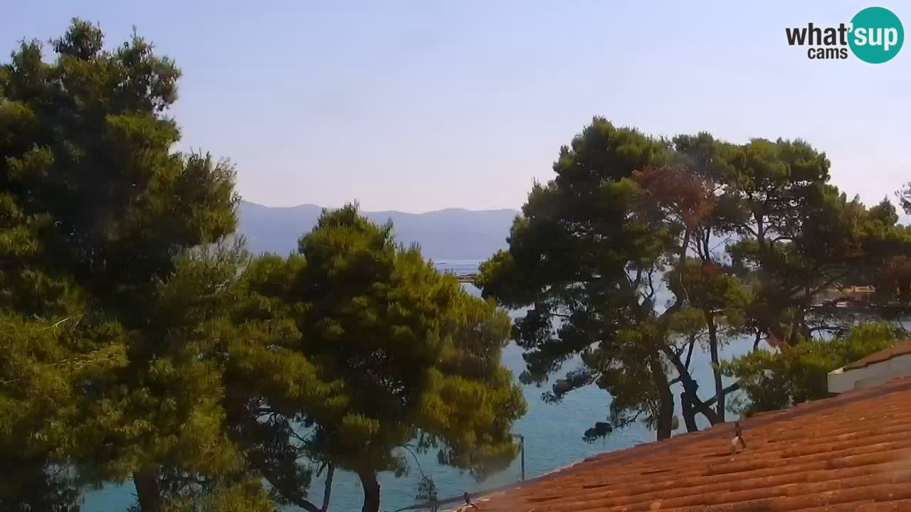 Lumbarda Resort live cam Curzola