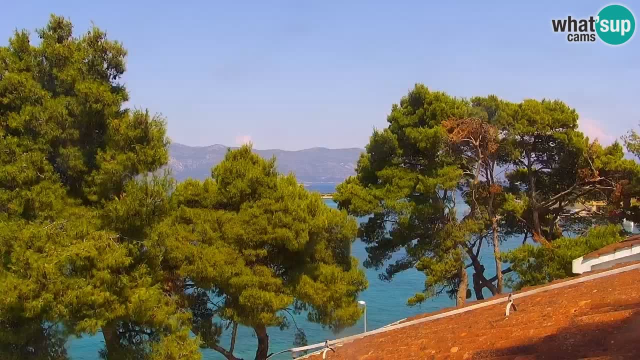 Lumbarda resort Webcam Korčula
