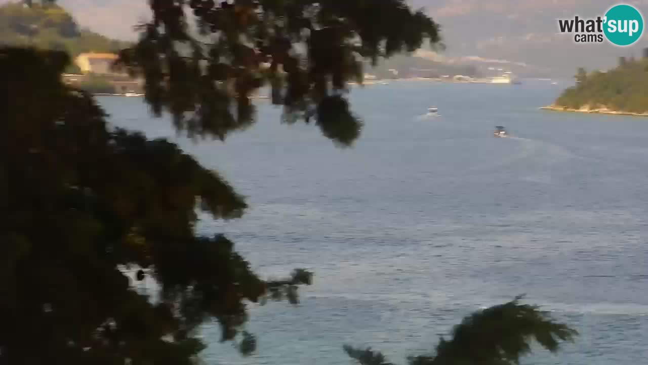 Lumbarda Resort camera en vivo Korčula