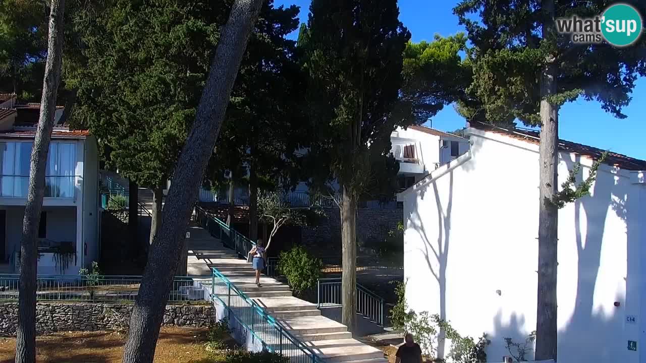 Lumbarda resort Spletna kamera Korčula