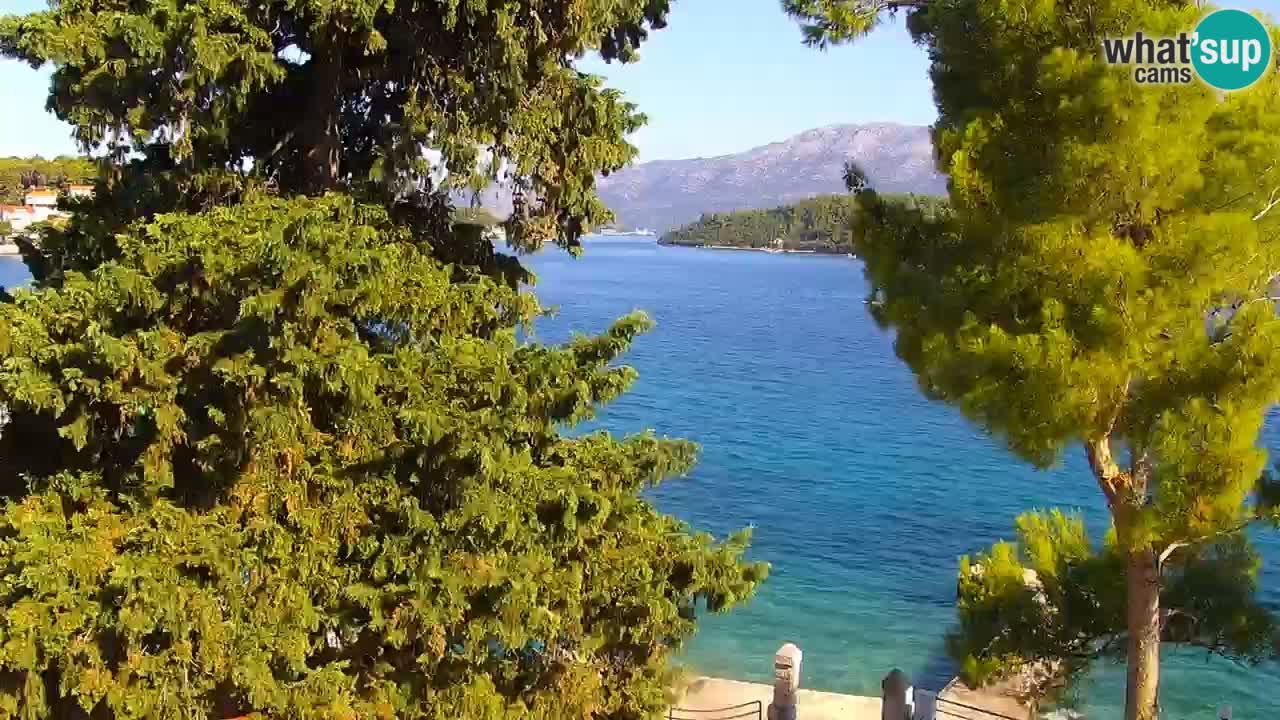 Lumbarda resort – livecam Korčula