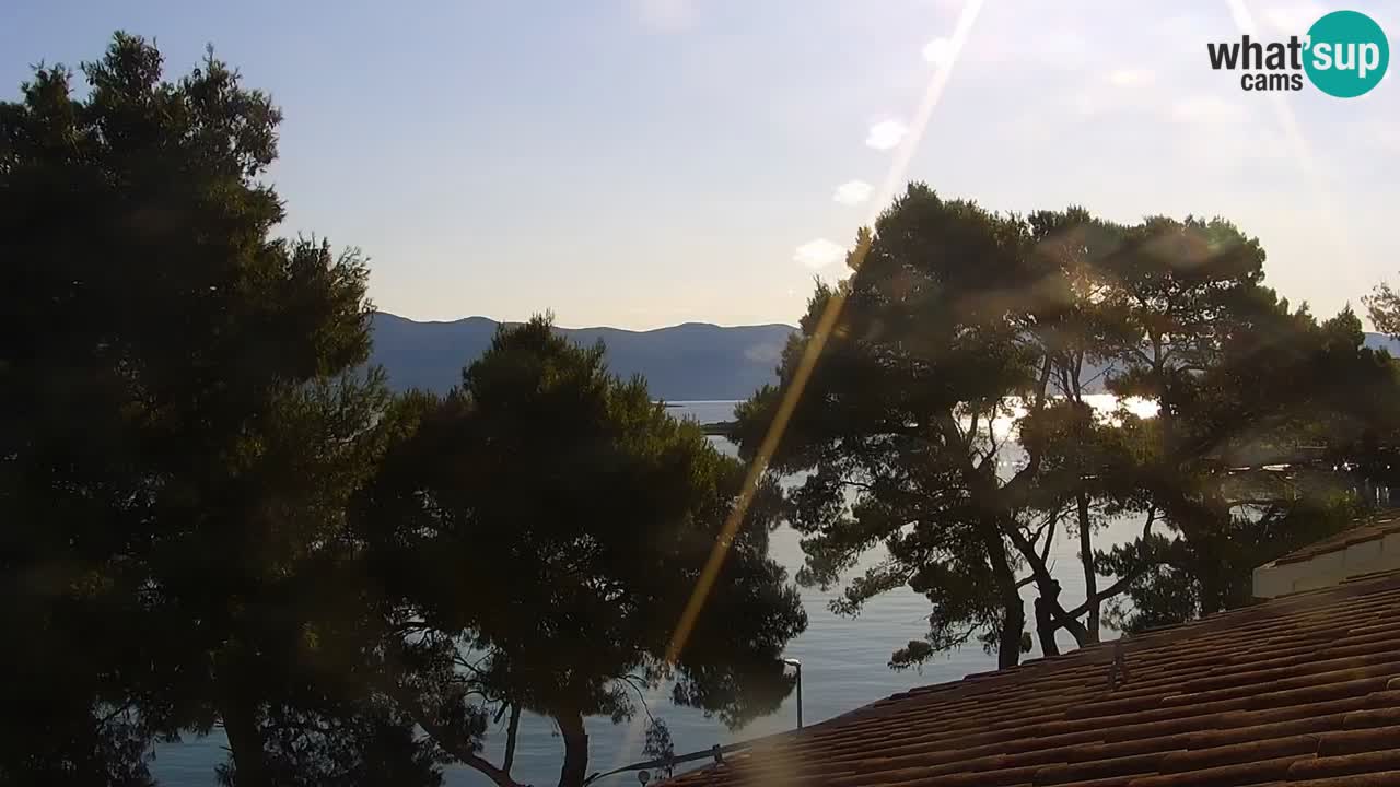 Lumbarda Resort camera en vivo Korčula