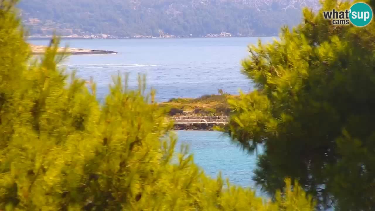 Lumbarda resort Spletna kamera Korčula