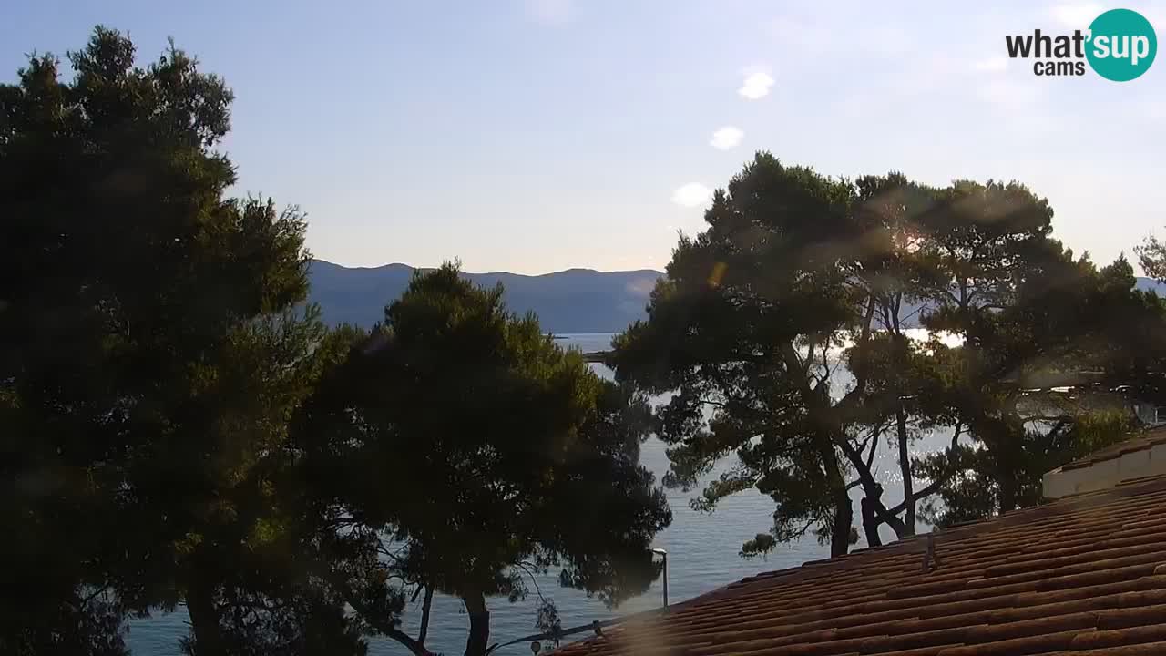 Lumbarda resort – livecam Korčula
