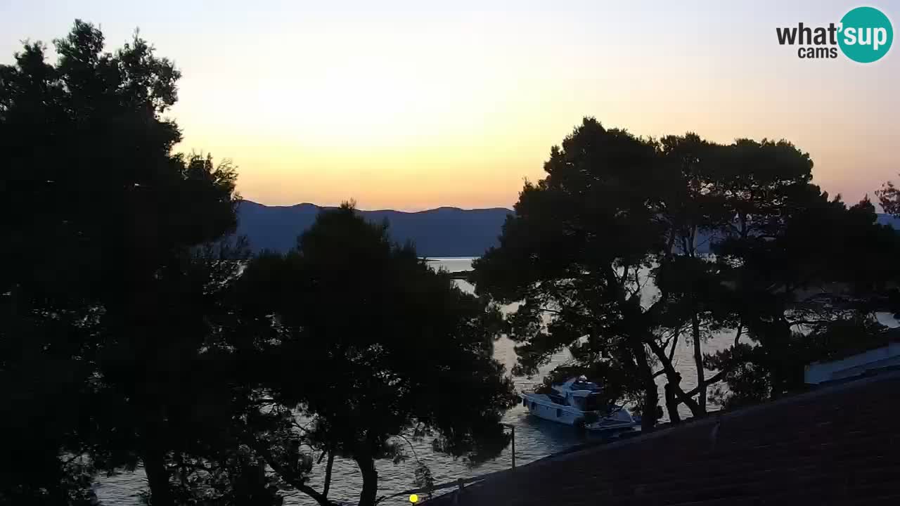 Lumbarda Resort camera en vivo Korčula