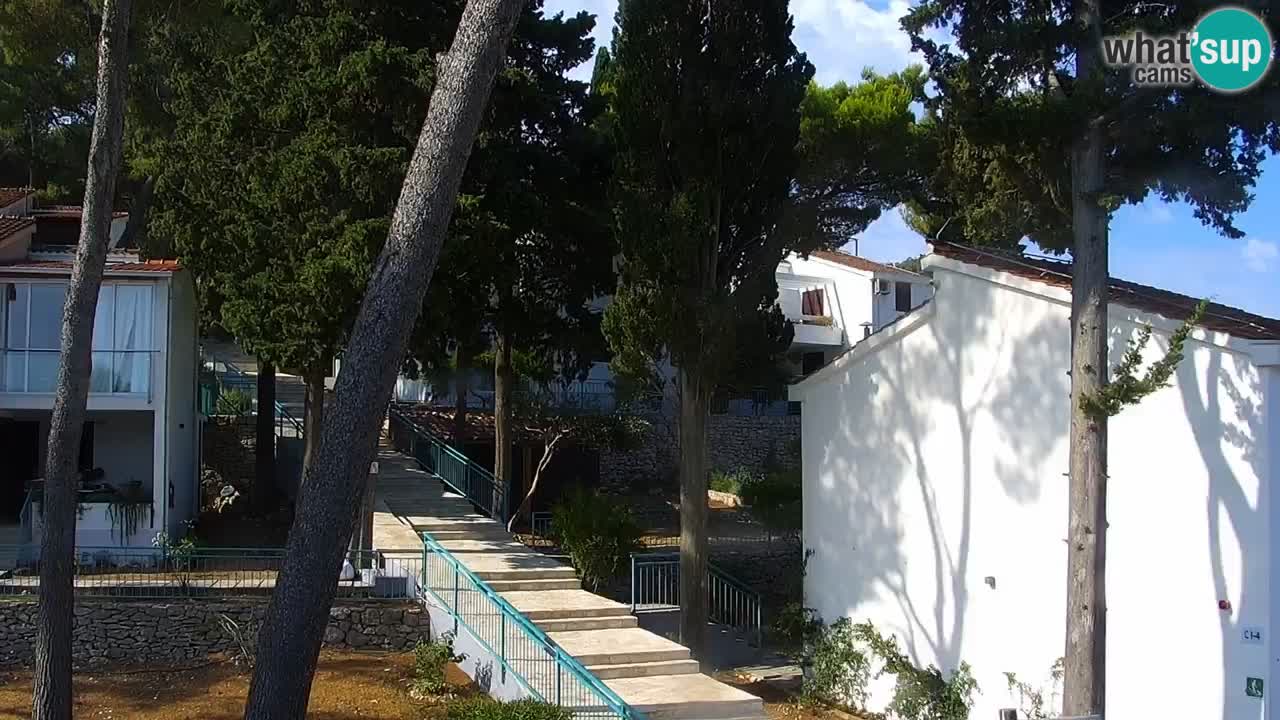 Lumbarda resort – livecam Korčula