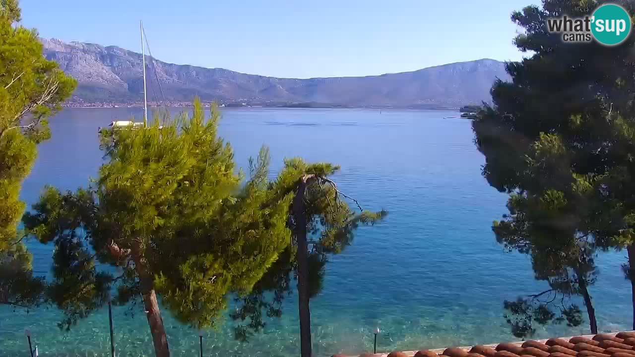 Lumbarda Resort camera en vivo Korčula