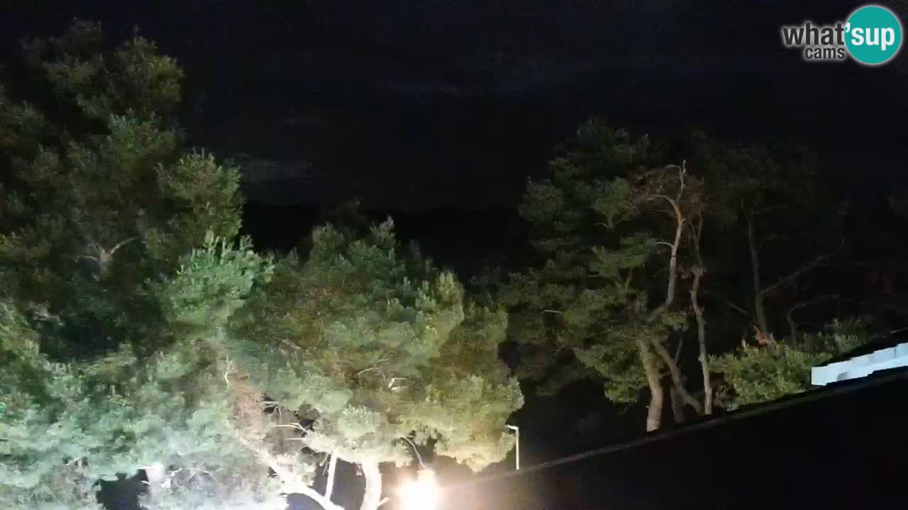 Lumbarda Resort webcam Kurzel