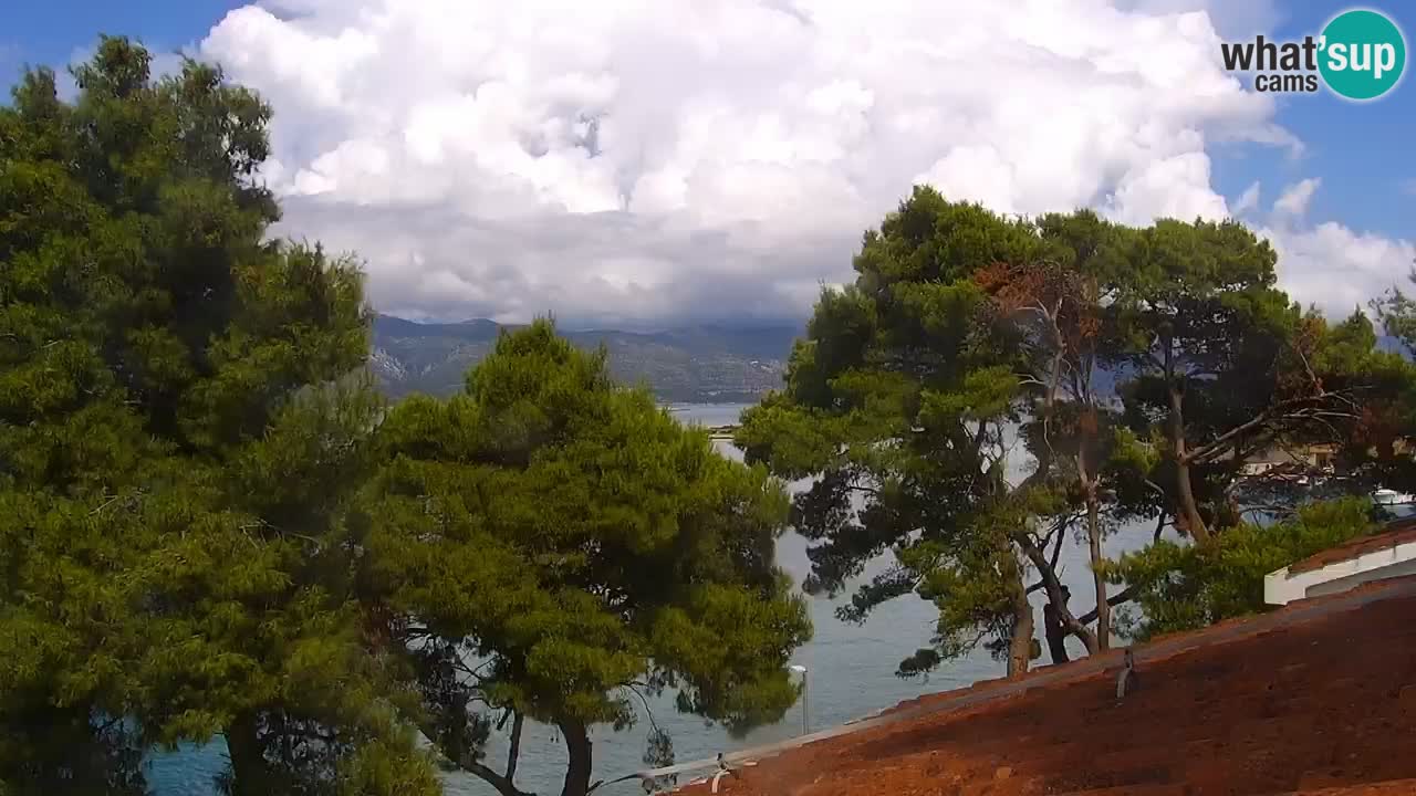 Lumbarda resort Web Kamera Korčula