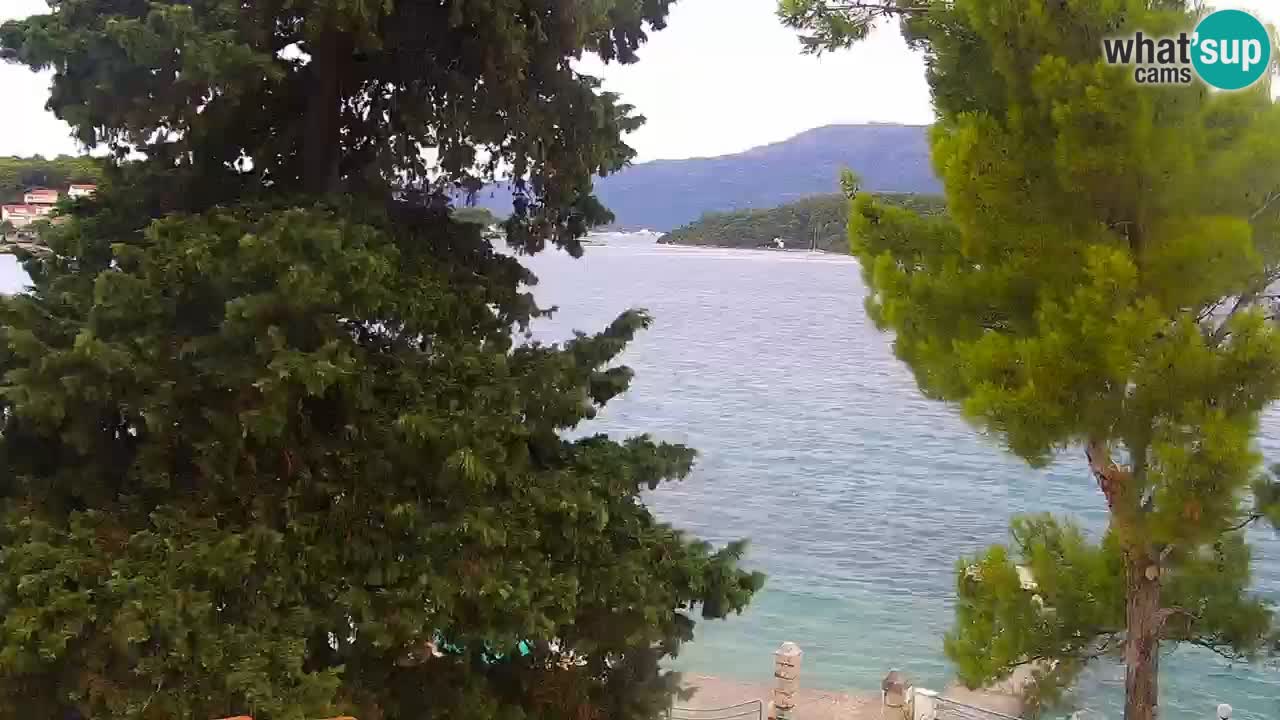Lumbarda resort Spletna kamera Korčula