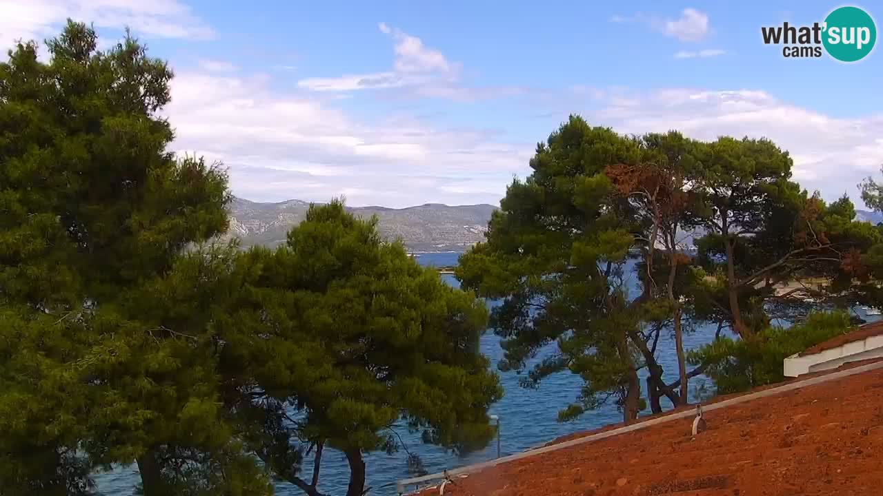 Lumbarda resort Spletna kamera Korčula