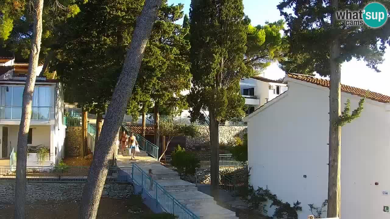 Lumbarda resort Webcam Korčula