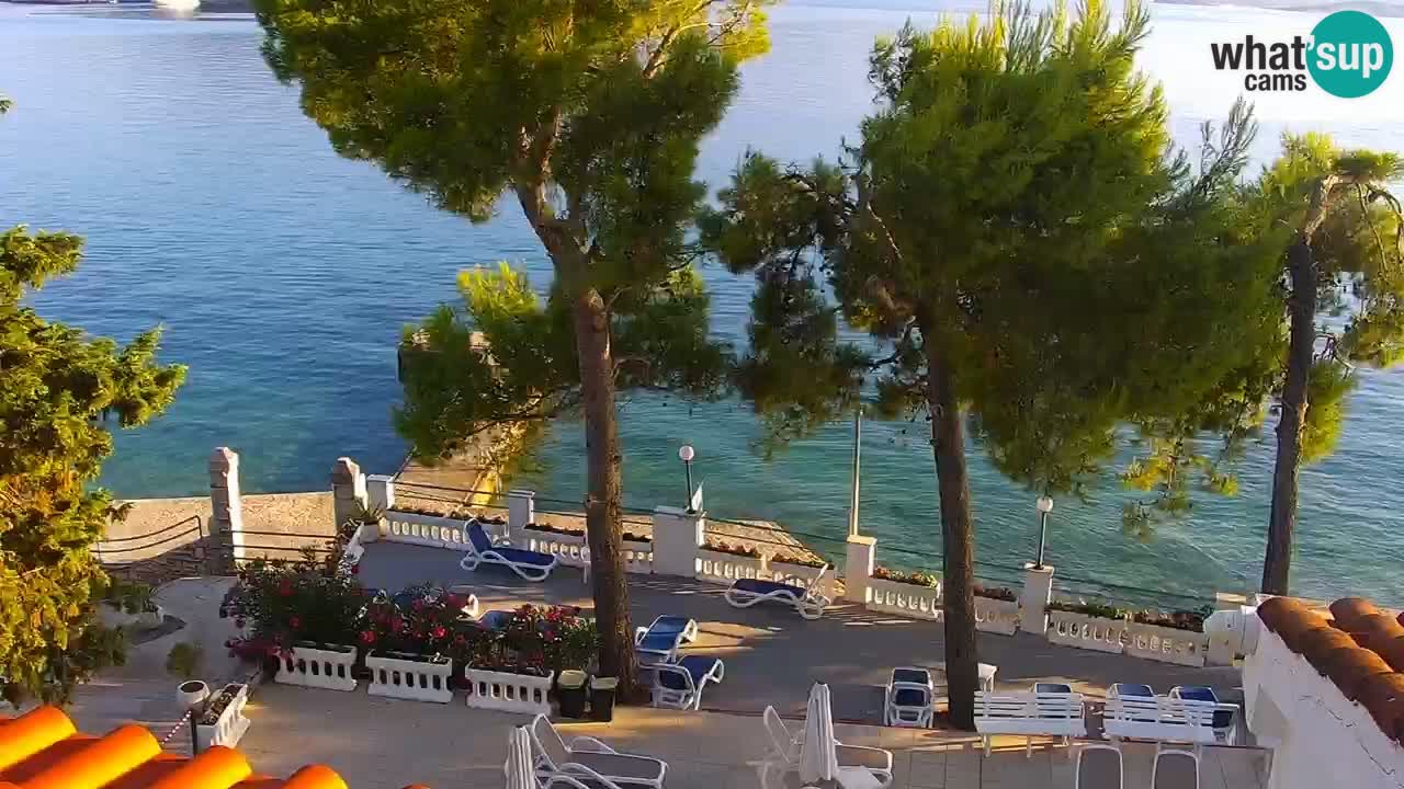 Lumbarda Resort camera en vivo Korčula