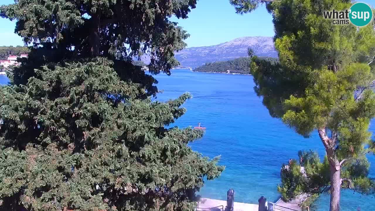 Lumbarda resort Webcam Korčula
