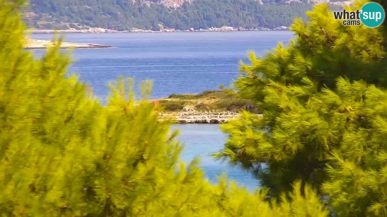 Lumbarda Resort live cam Curzola