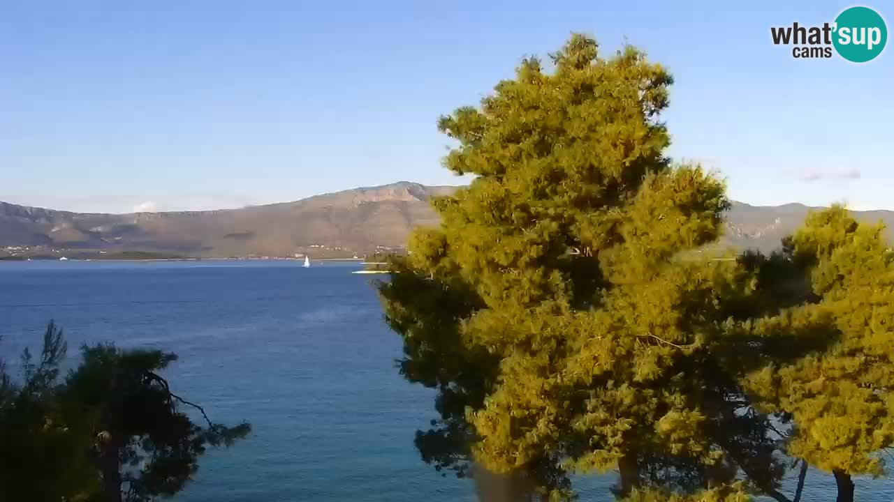 Lumbarda resort Webcam Korčula