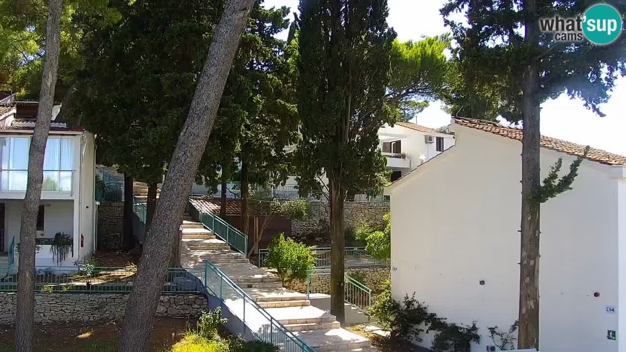 Lumbarda Resort webcam Kurzel