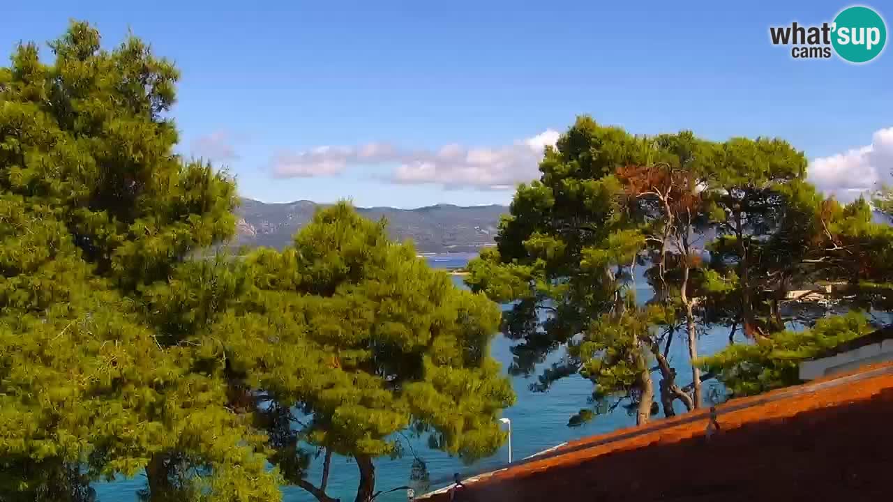 Lumbarda Resort webcam Kurzel