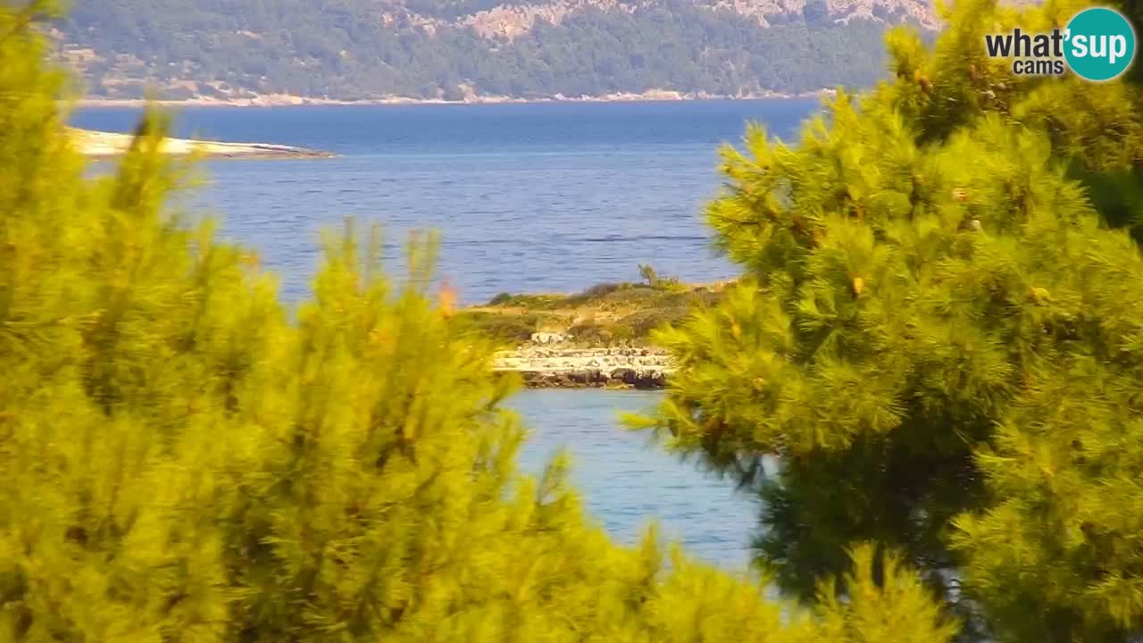 Lumbarda resort Spletna kamera Korčula