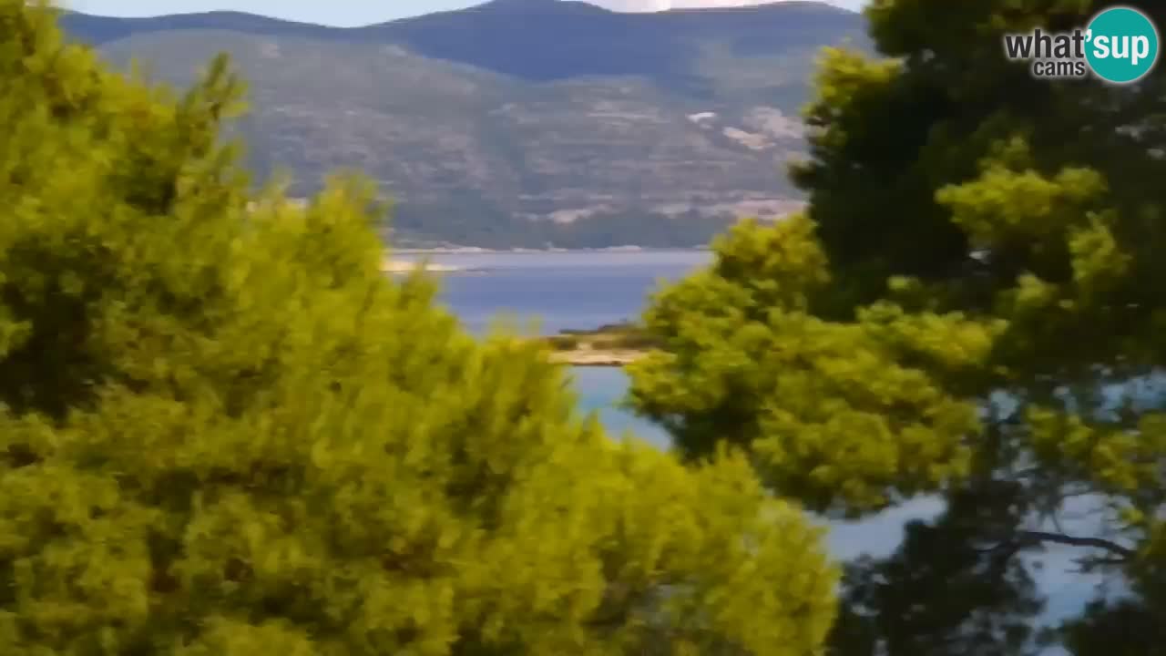 Lumbarda resort Spletna kamera Korčula