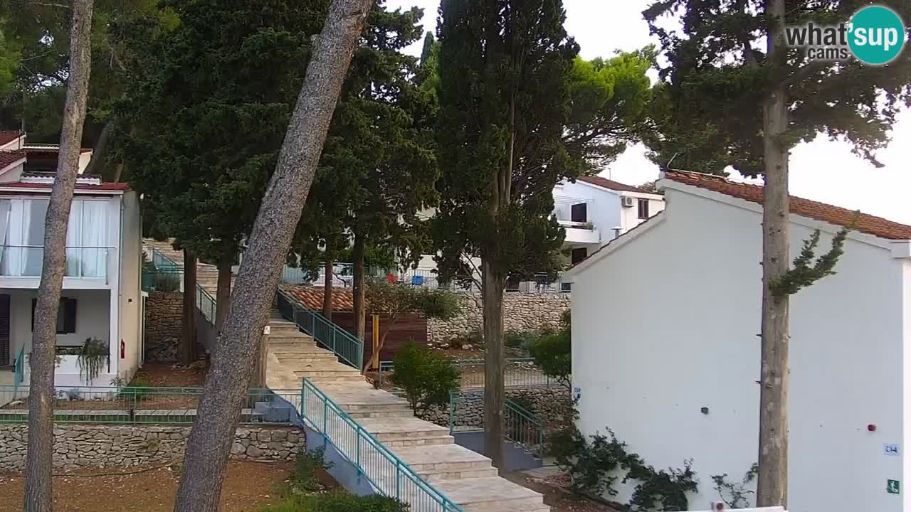 Lumbarda resort Web Kamera Korčula