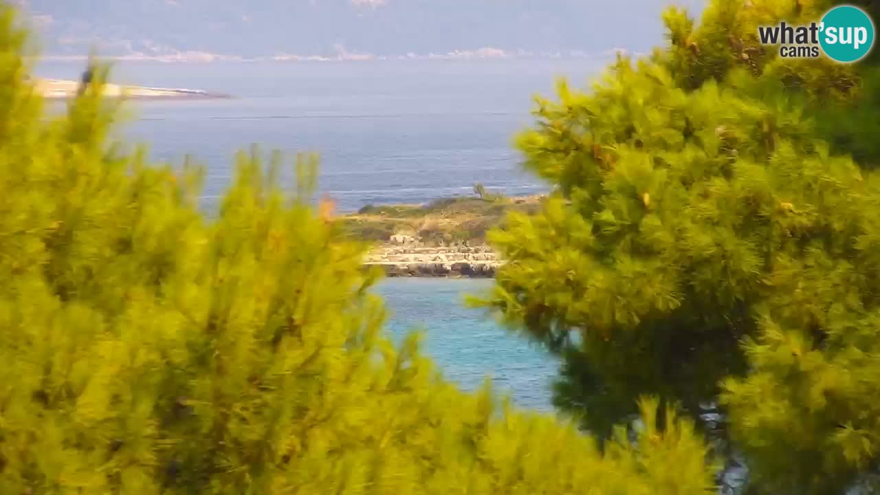 Lumbarda resort – livecam Korčula