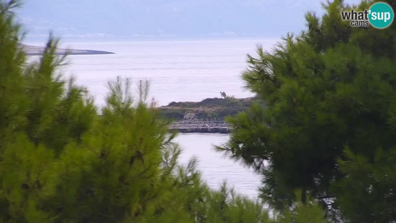 Lumbarda Resort camera en vivo Korčula