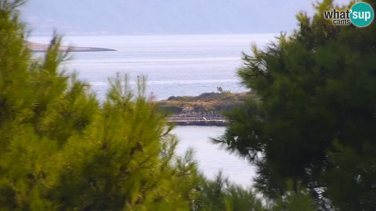 Lumbarda resort Spletna kamera Korčula
