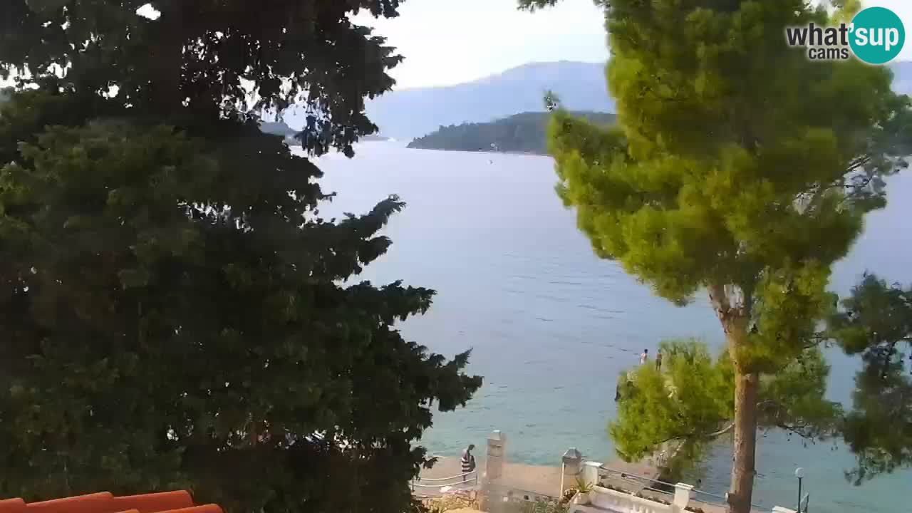 Lumbarda resort Webcam Korčula
