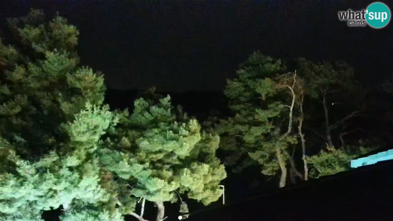 Lumbarda resort Spletna kamera Korčula