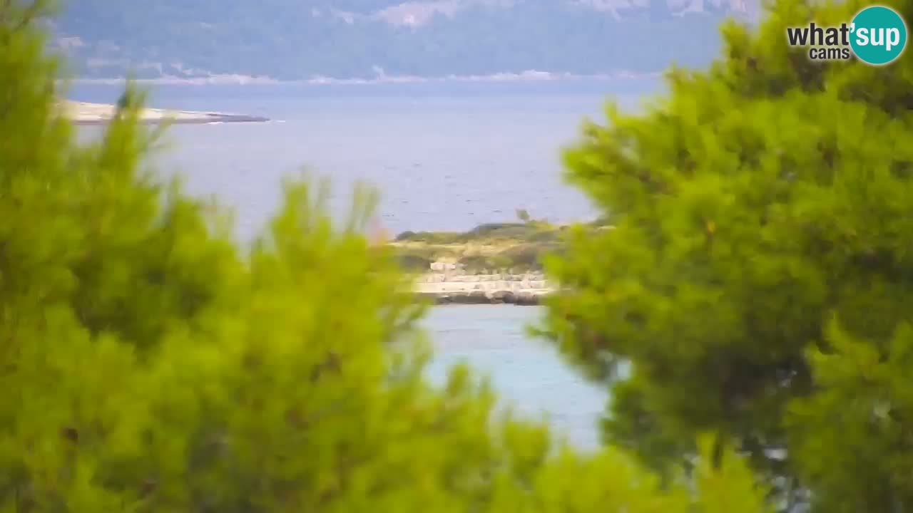 Lumbarda resort – livecam Korčula