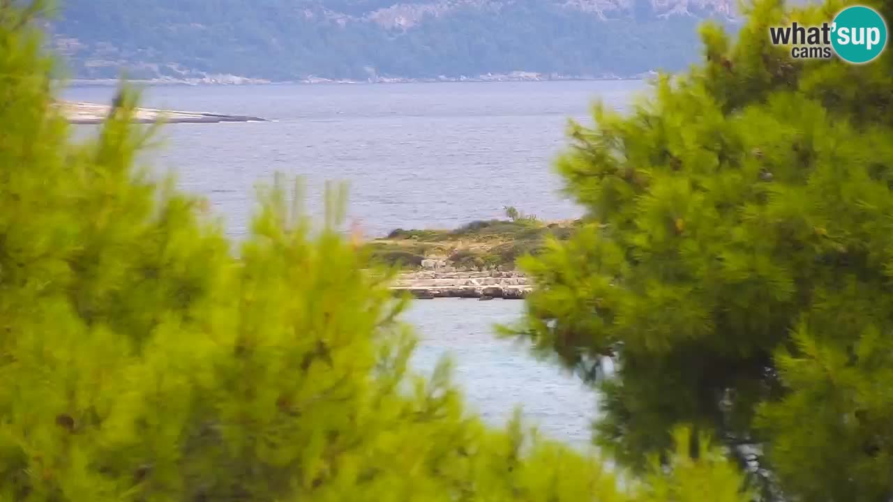 Lumbarda Resort camera en vivo Korčula