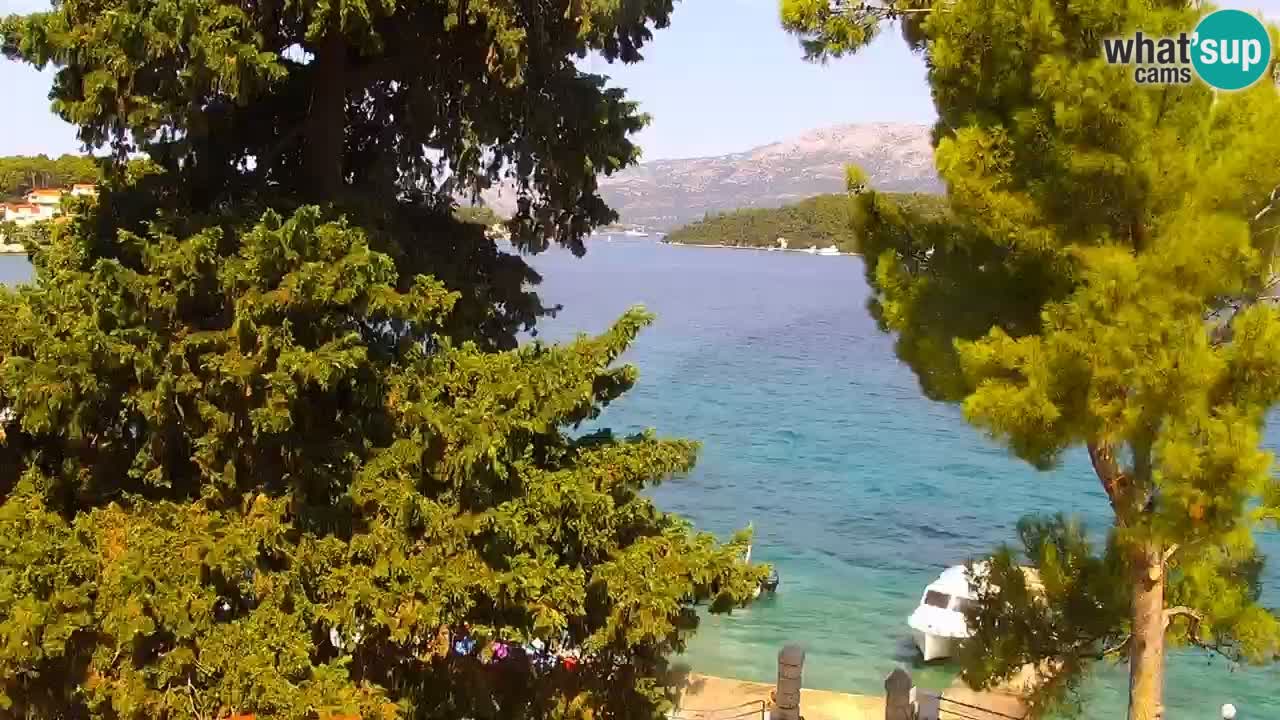 Lumbarda Resort camera en vivo Korčula