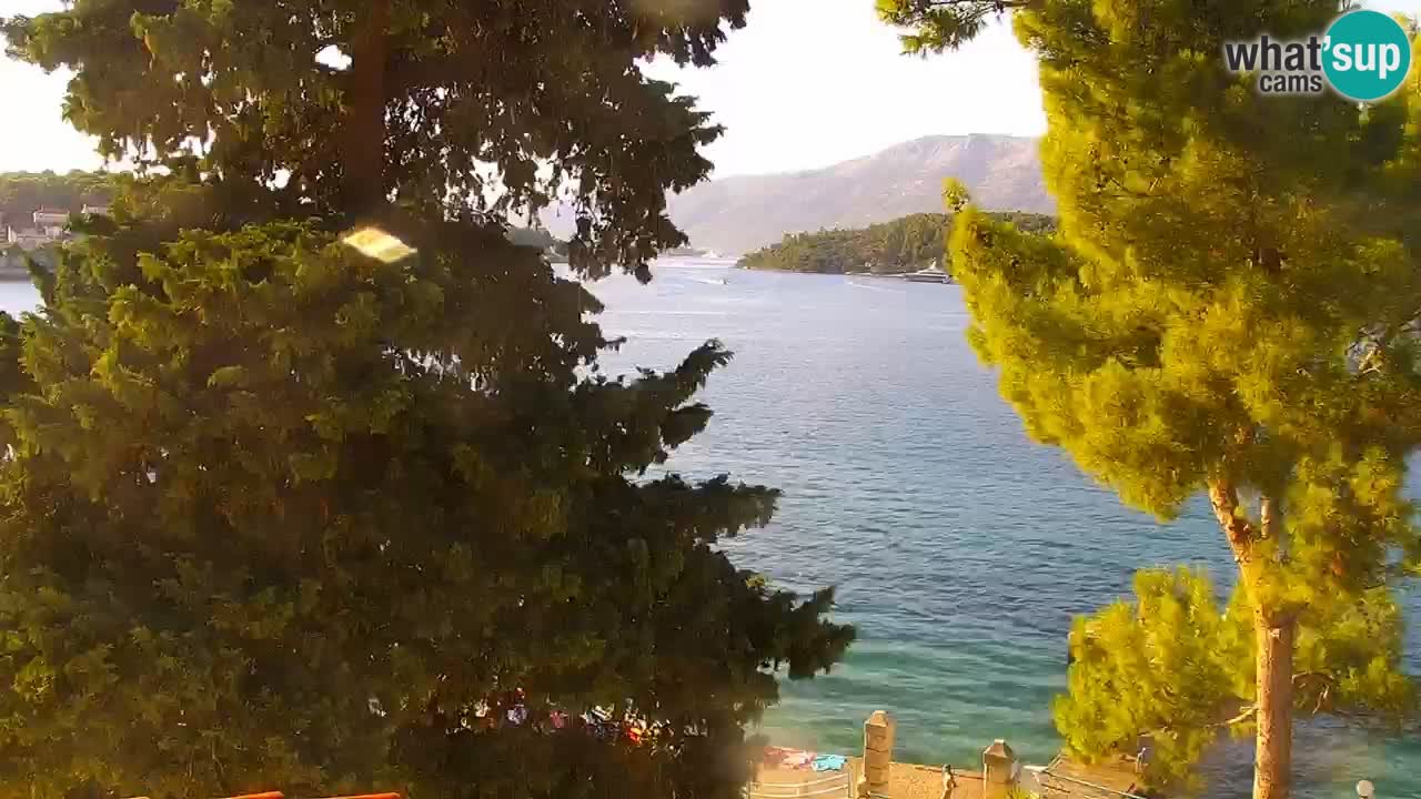 Lumbarda resort Webcam Korčula