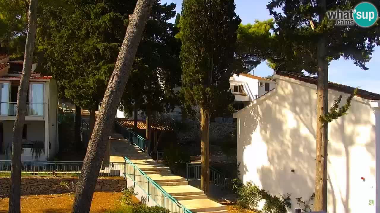 Lumbarda resort Spletna kamera Korčula