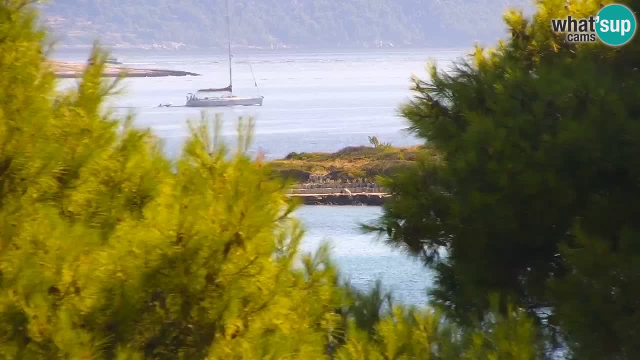 Lumbarda resort Spletna kamera Korčula