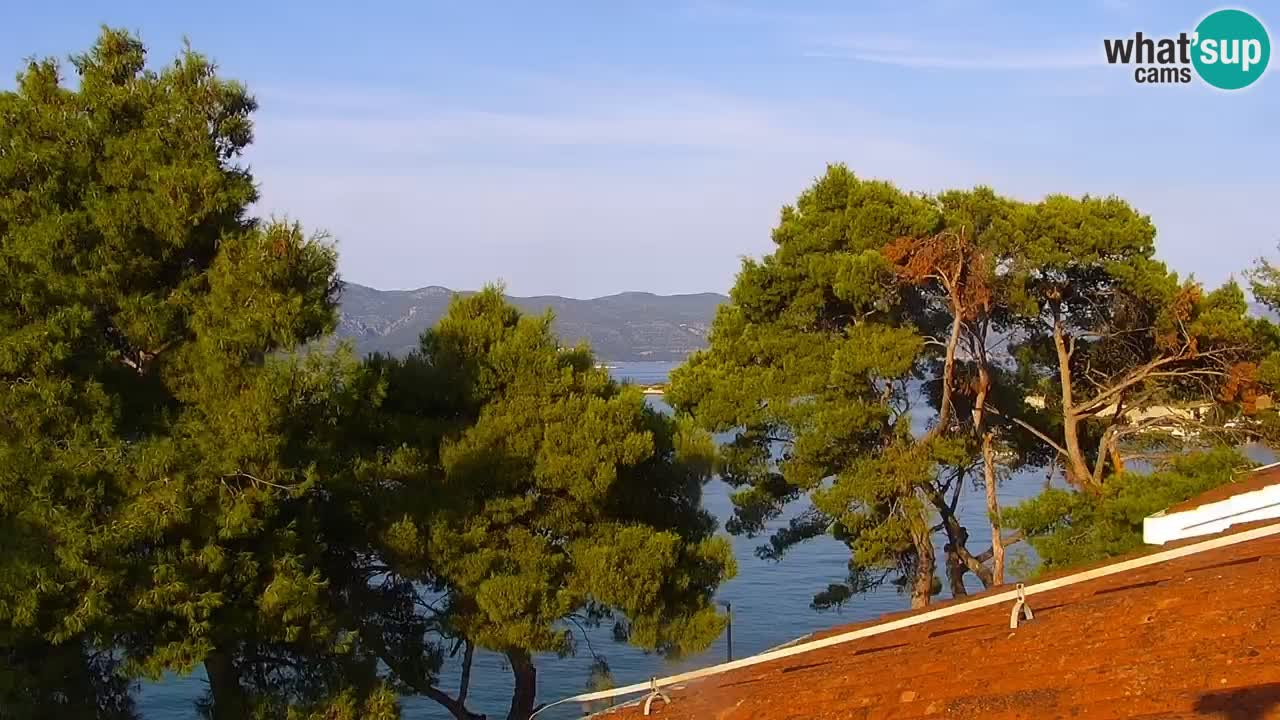 Lumbarda resort Spletna kamera Korčula