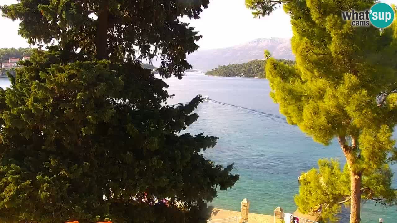Lumbarda resort Webcam Korčula
