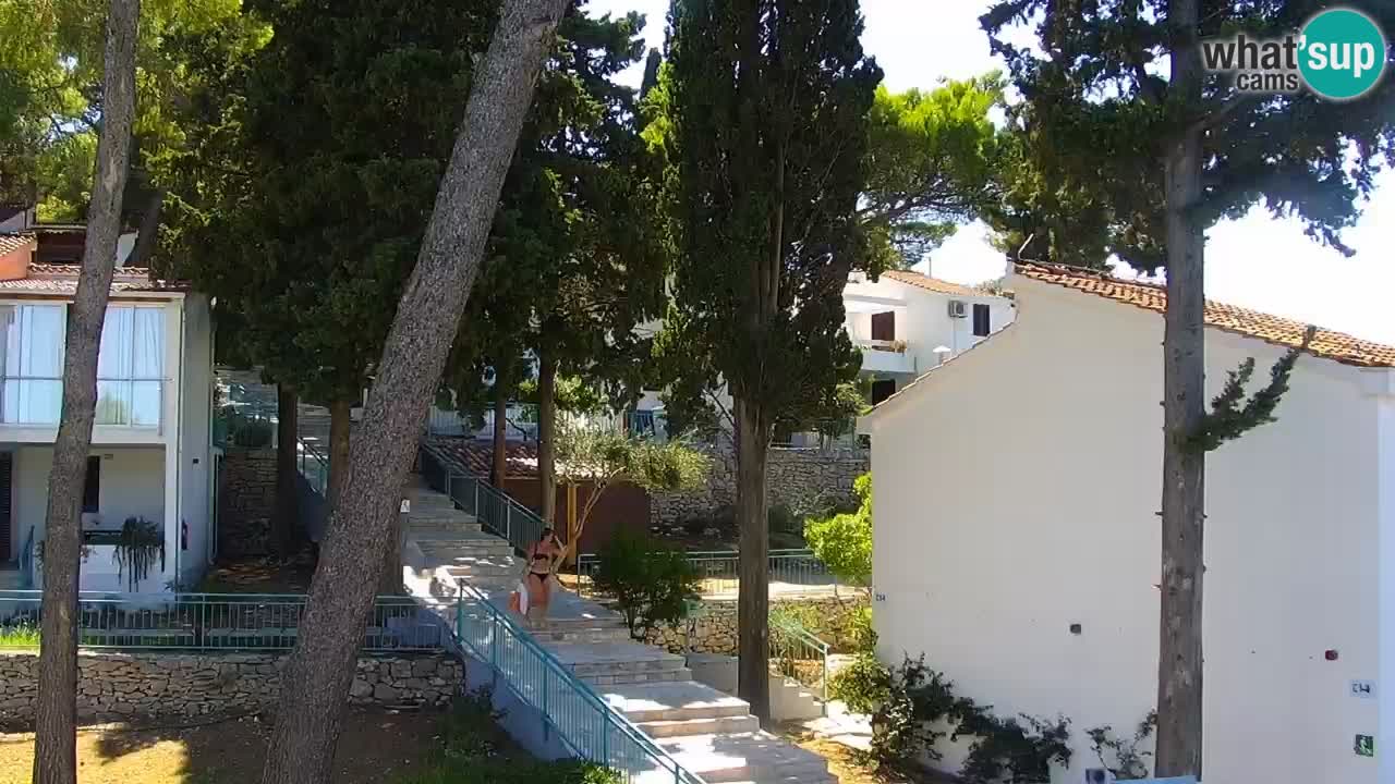 Lumbarda resort Web Kamera Korčula