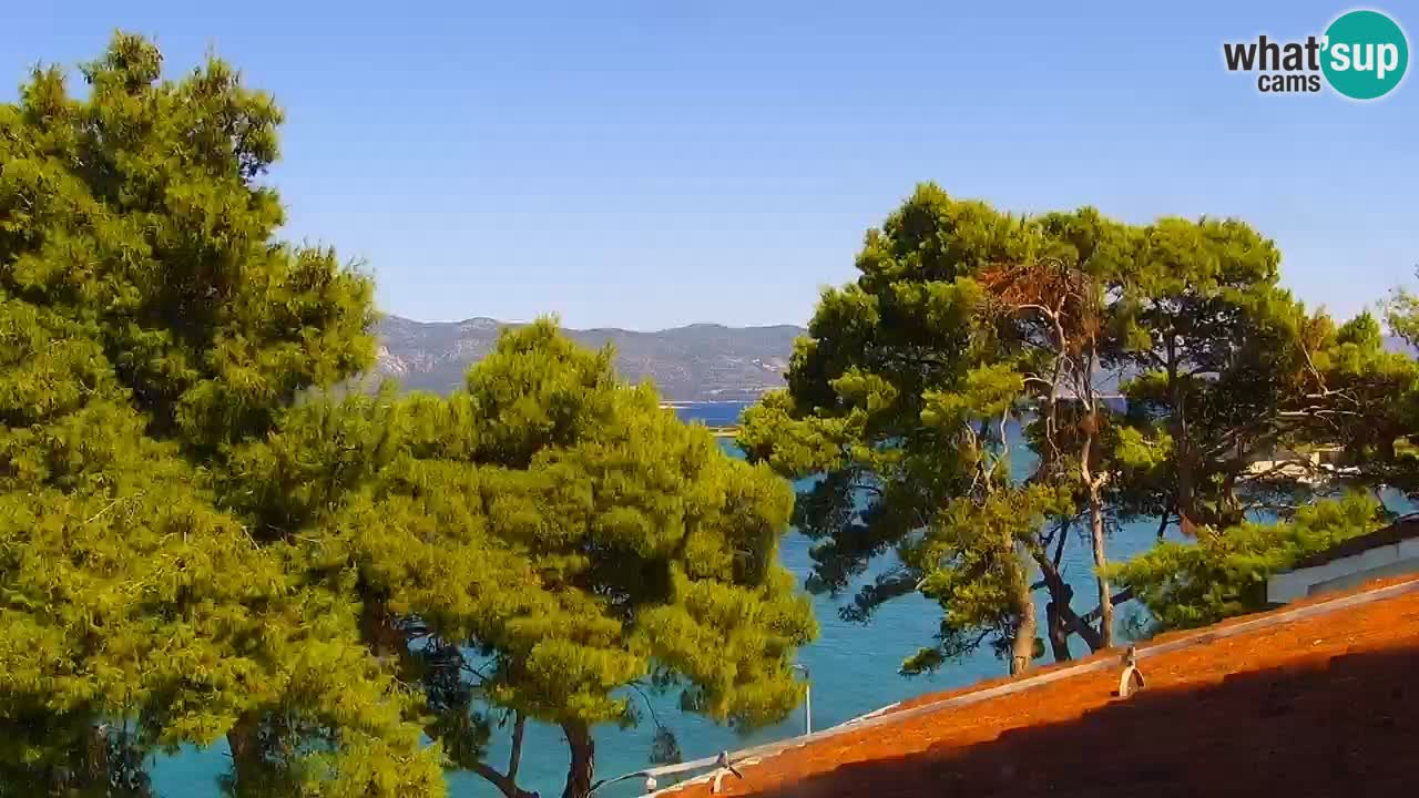 Lumbarda resort Web Kamera Korčula
